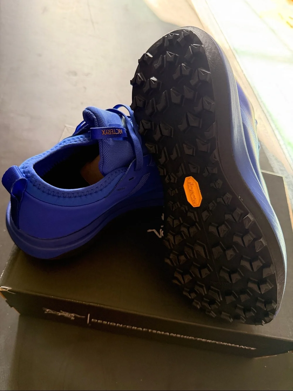 Arc'teryx women’s sylan GTX shoe-Electric Indigo/DK